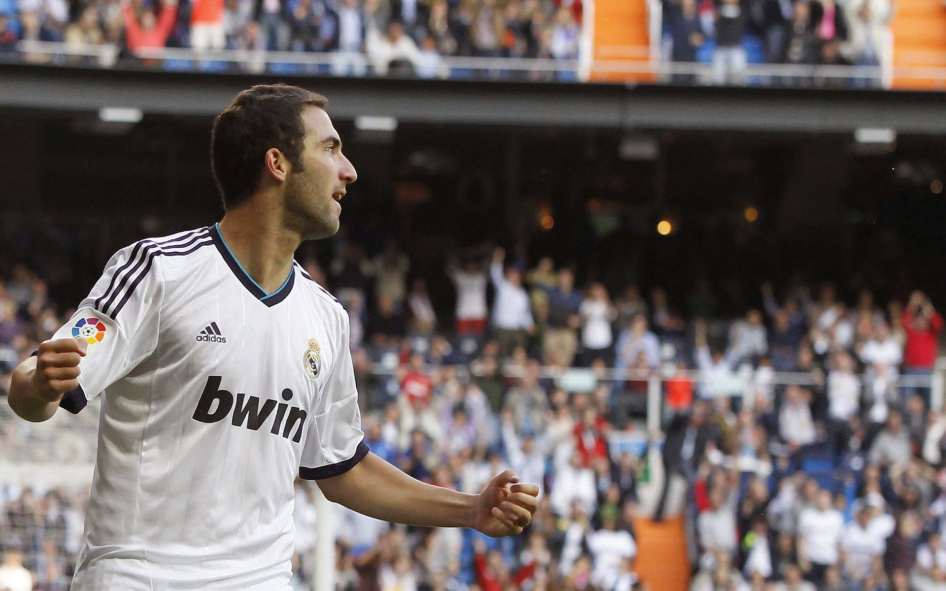 爱游戏app-美洲杯裁判判罚案例法律分析，美洲杯裁判放大镜