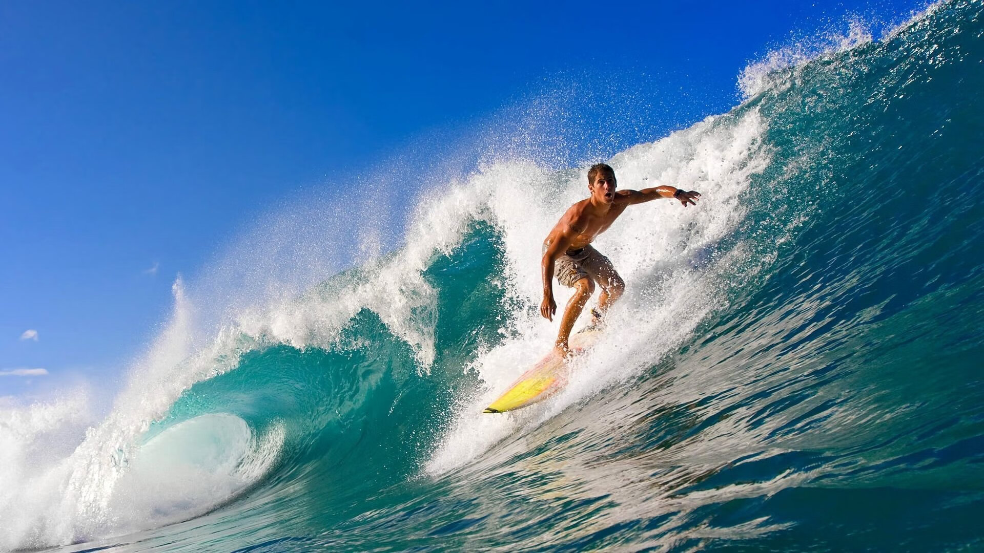 爱游戏官方-_传统体育新演绎：武术、跑步融合创新_，武术和体育运动的串词